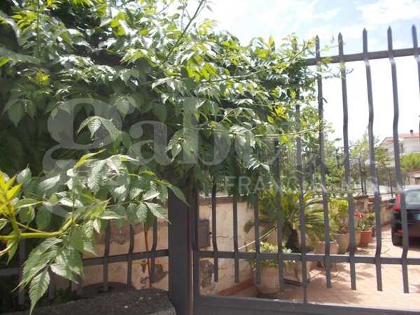 casa indipendente in vendita a Succivo
