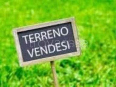 terreno agricolo in vendita a Succivo