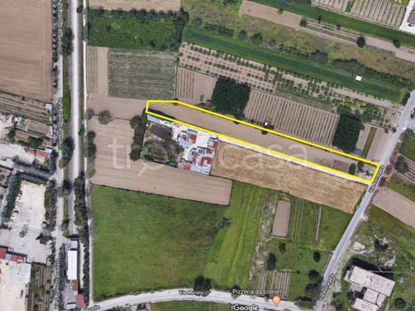 terreno agricolo in vendita a Succivo