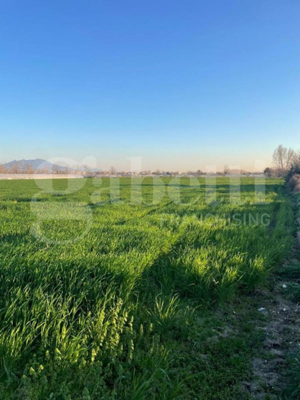 terreno agricolo in vendita a Succivo