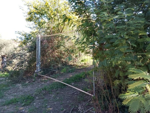 terreno agricolo in vendita a Teano in zona San Giuliano