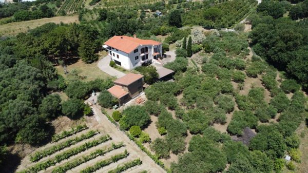 casa indipendente in vendita a Teano in zona Tranzi