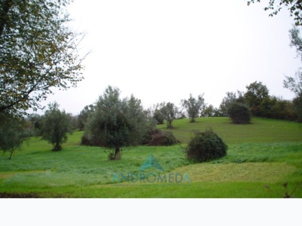 appartamento in vendita a Teano