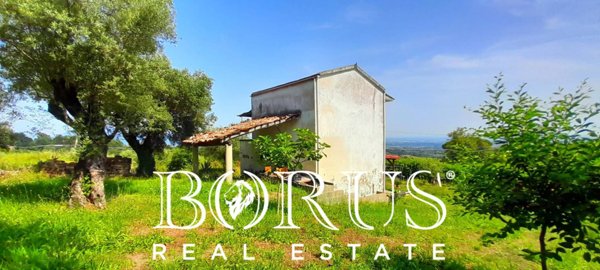 immagine annuncio 0 di 1