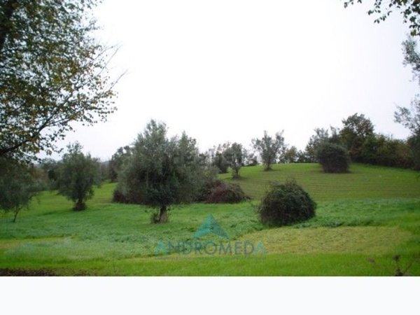 quadrivano in vendita a Teano