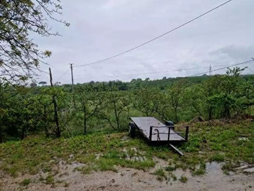 terreno agricolo in vendita a Teano