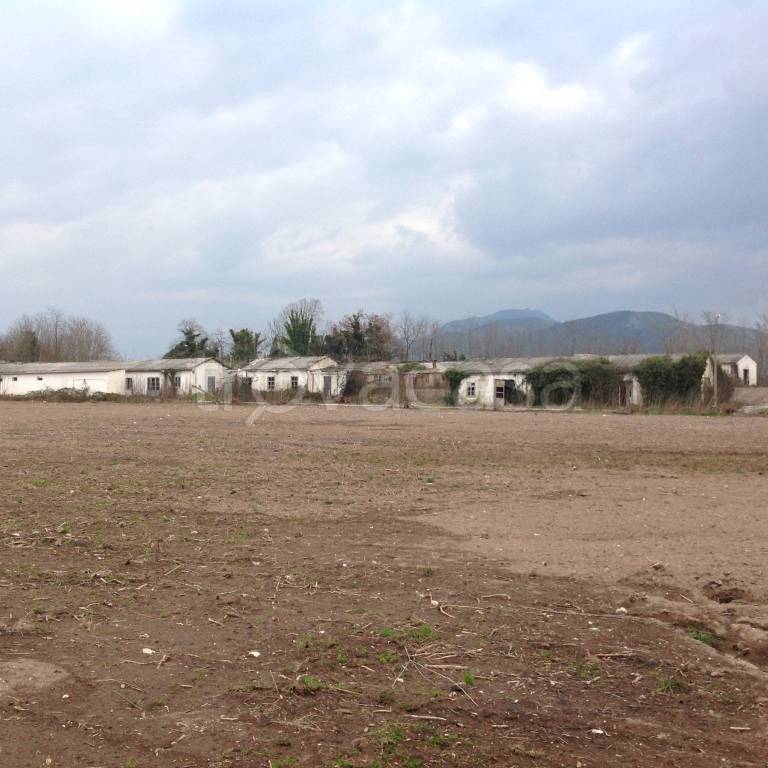 terreno agricolo in vendita a Teano in zona Teano Scalo