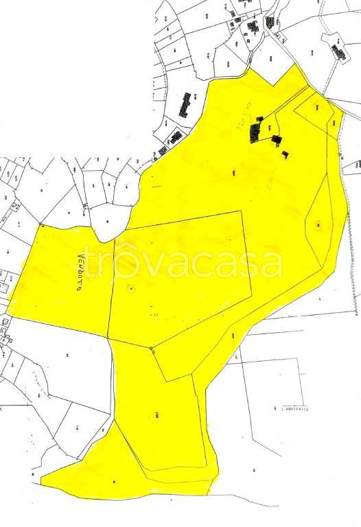 azienda agricola in vendita a Teano