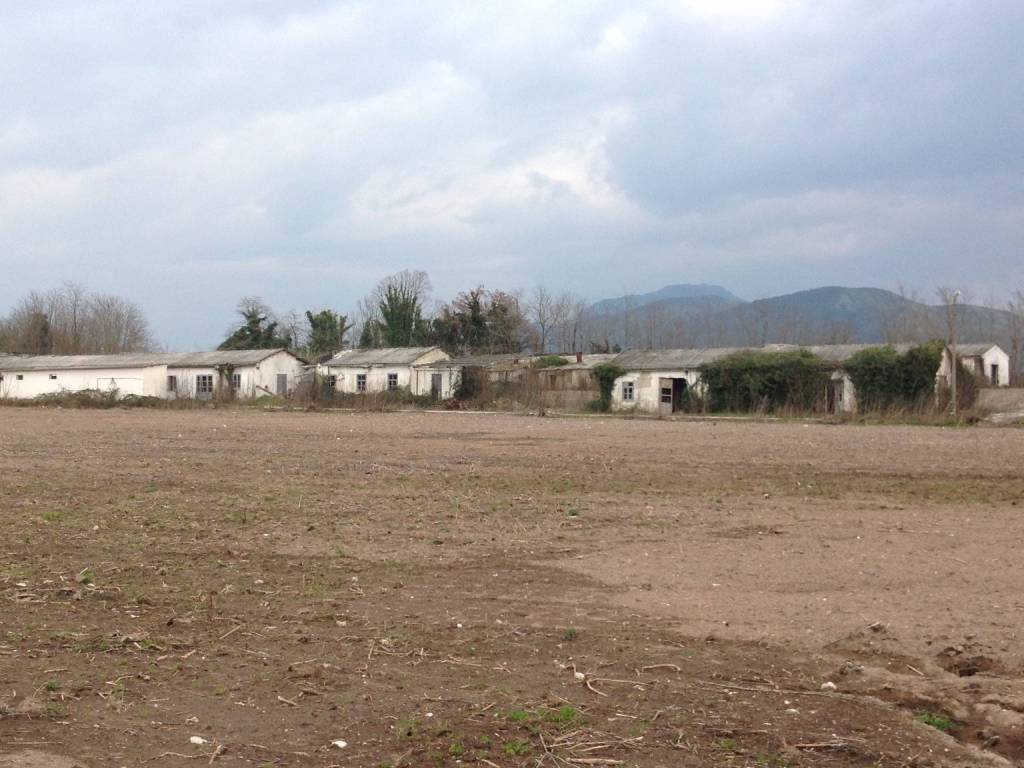 terreno agricolo in vendita a Teano in zona Teano Scalo