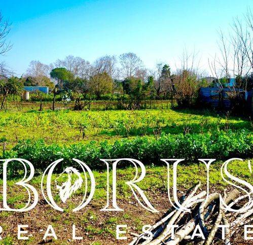 terreno agricolo in vendita a Trentola Ducenta