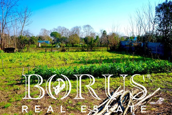 terreno agricolo in vendita a Trentola Ducenta