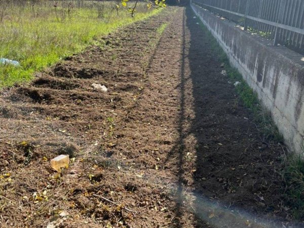 terreno agricolo in vendita a Trentola Ducenta