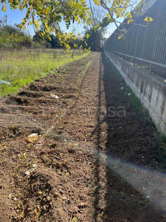 terreno agricolo in vendita a Trentola Ducenta