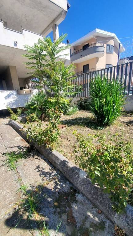 appartamento in vendita a Trentola Ducenta