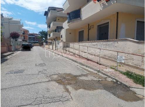 appartamento in vendita a Trentola Ducenta