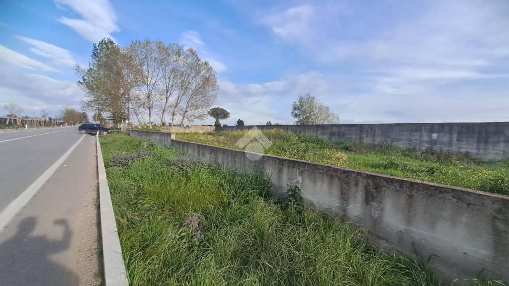 terreno agricolo in vendita a Trentola Ducenta