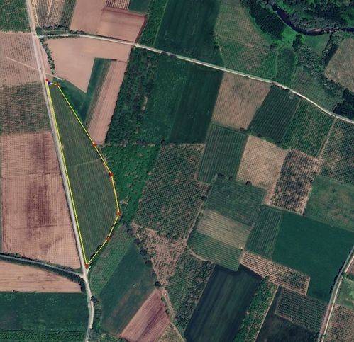 terreno agricolo in vendita a Vairano Patenora