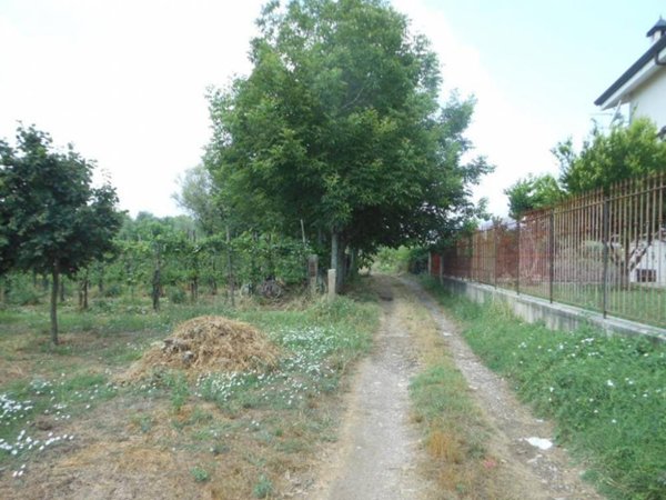 terreno edificabile in vendita a Vairano Patenora in zona Vairano Scalo