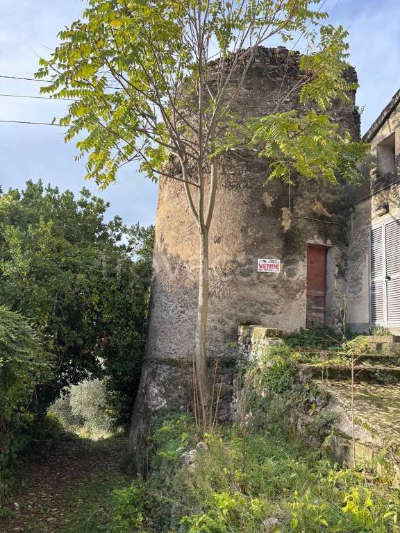 terreno agricolo in vendita a Vairano Patenora