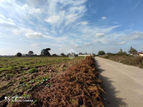 terreno agricolo in vendita a Villa di Briano