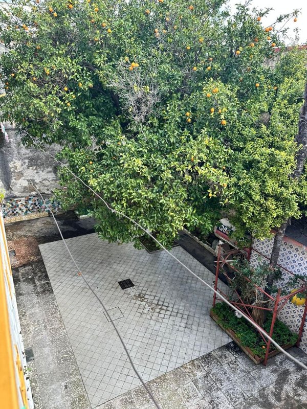 casa indipendente in vendita a Villa di Briano