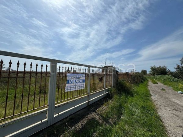 terreno agricolo in vendita a Villa Literno