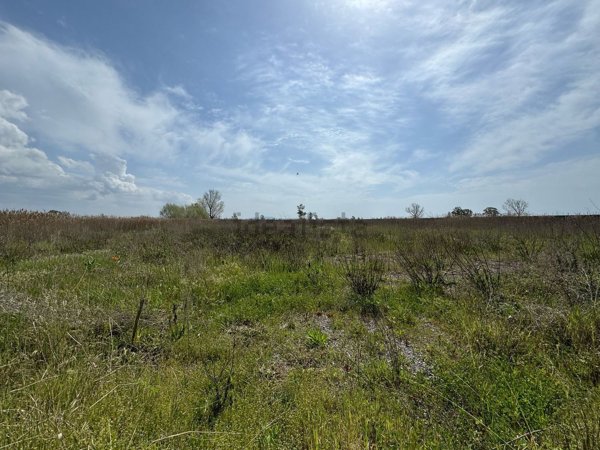 casa indipendente in vendita a Villa Literno
