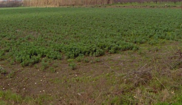 casa indipendente in vendita a Villa Literno