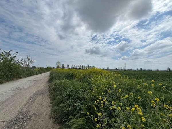 casa indipendente in vendita a Villa Literno