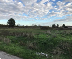 terreno agricolo in vendita a Villa Literno