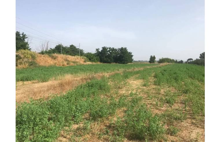 terreno in vendita a Villa Literno