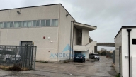 negozio in vendita a Vitulazio