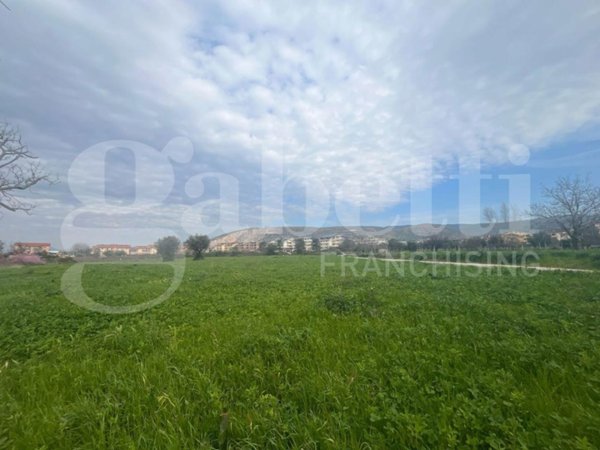 terreno agricolo in vendita a Vitulazio