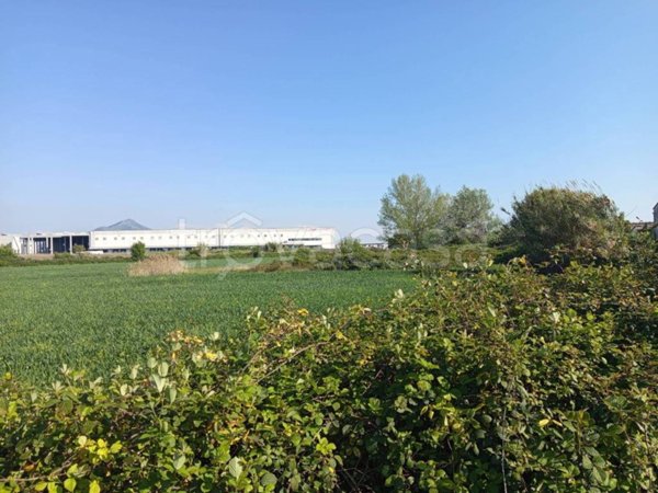 terreno agricolo in vendita a Vitulazio