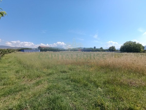 terreno agricolo in vendita a Vitulazio