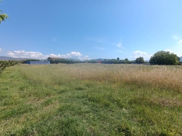 terreno agricolo in vendita a Vitulazio