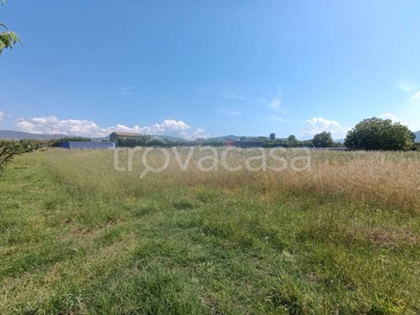 terreno agricolo in vendita a Vitulazio