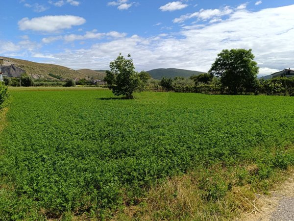 terreno agricolo in vendita a Vitulazio