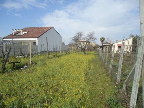 terreno agricolo in vendita a Vitulazio