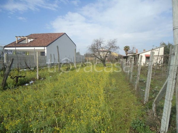 terreno agricolo in vendita a Vitulazio