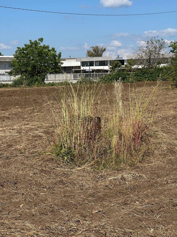 terreno edificabile in vendita a Vitulazio