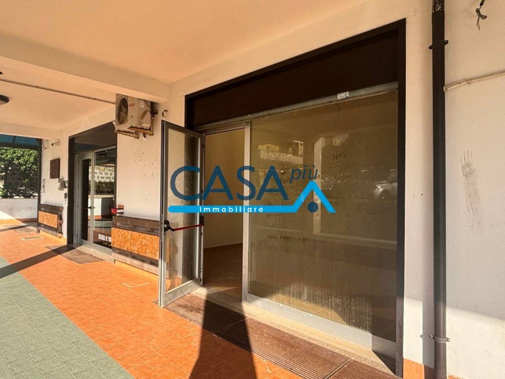 immagine annuncio 0 di 6