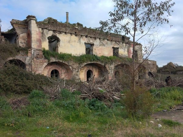 esavano in vendita a Falciano del Massico