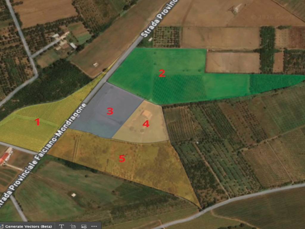 terreno agricolo in vendita a Falciano del Massico