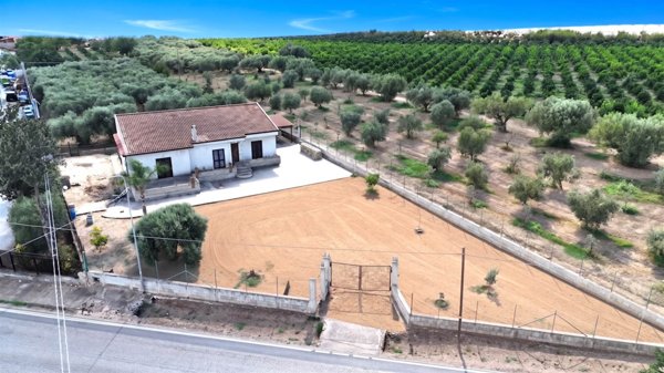 casa indipendente in vendita a Falciano del Massico