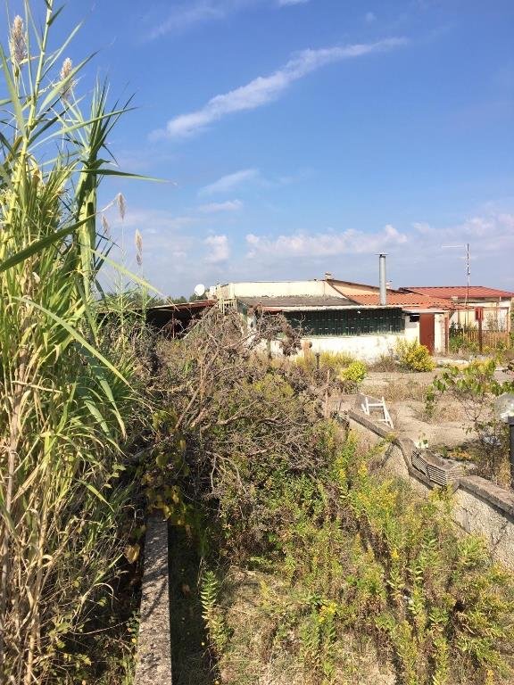 casa indipendente in vendita a Cellole in zona Baia Felice