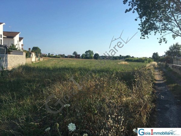 terreno agricolo in vendita a Cellole in zona Baia Felice