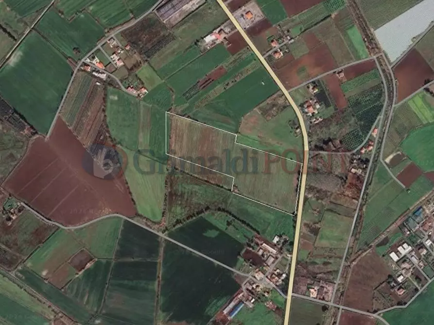 terreno agricolo in vendita a Cellole