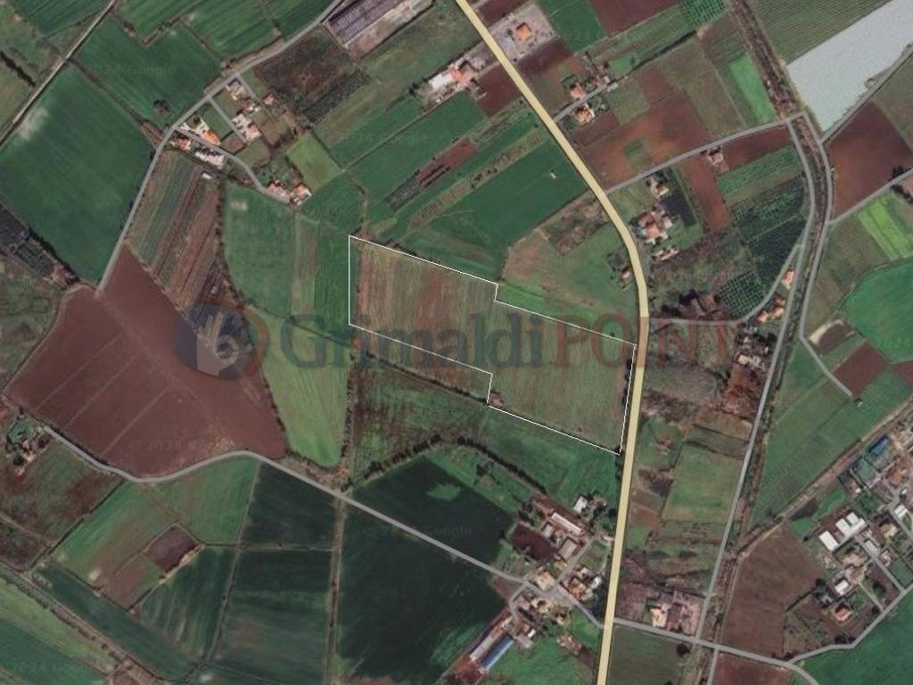terreno agricolo in vendita a Cellole