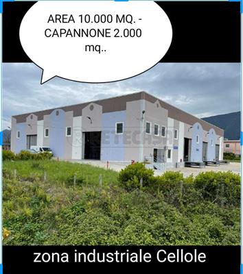 capannone in vendita a Cellole